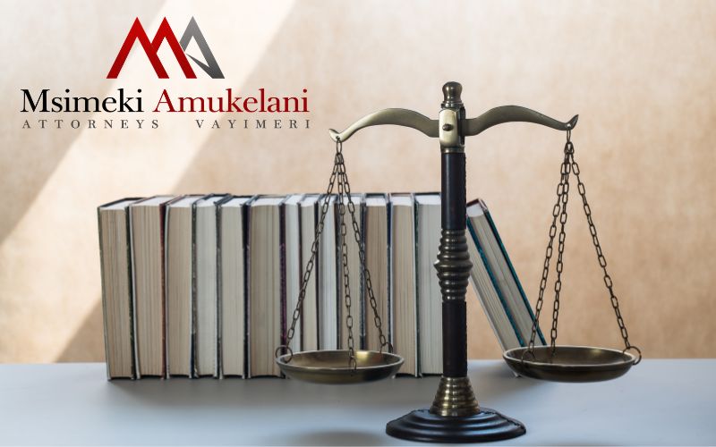 Professional Attorney